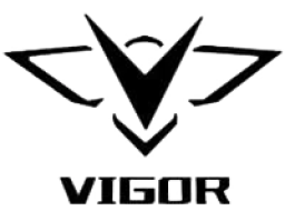 vigor-logo