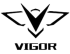 vigor-logo